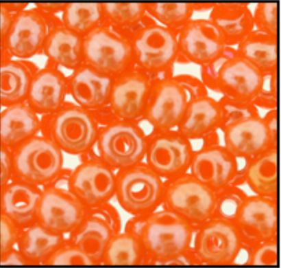 Czech Seed Bead 10/0 Orange Op. Luster - 1 Hank